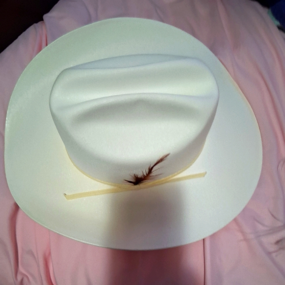 NWT Coŵboy  Western Hat - Picture 4 of 4